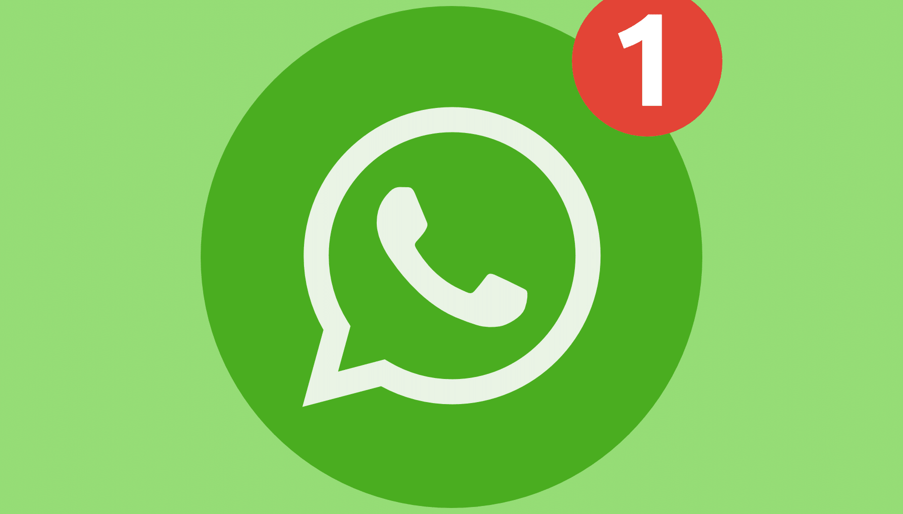 How to find users on WhatsApp? How to efficiently manage contacts using WhatsApp filtering and activation?